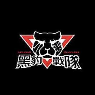 黑豹戰隊