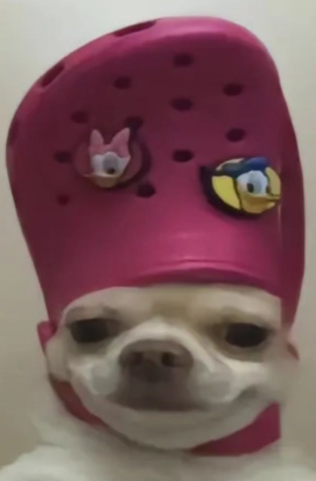 王文遙