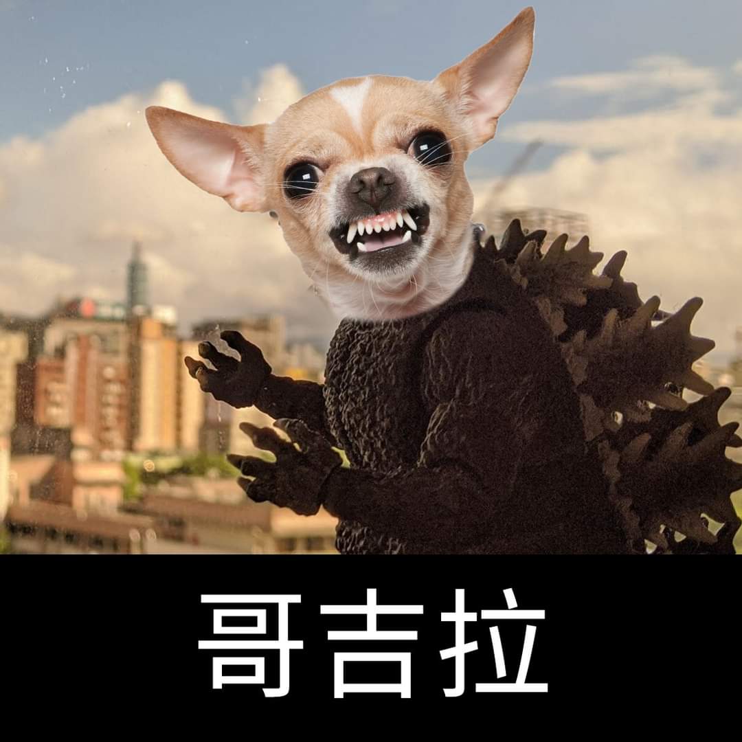 廖碩暉